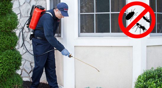 Kemaliye Kene İlaçlama böcek ilaçlama ve haşere kontrolü — ilaclama-tr.com